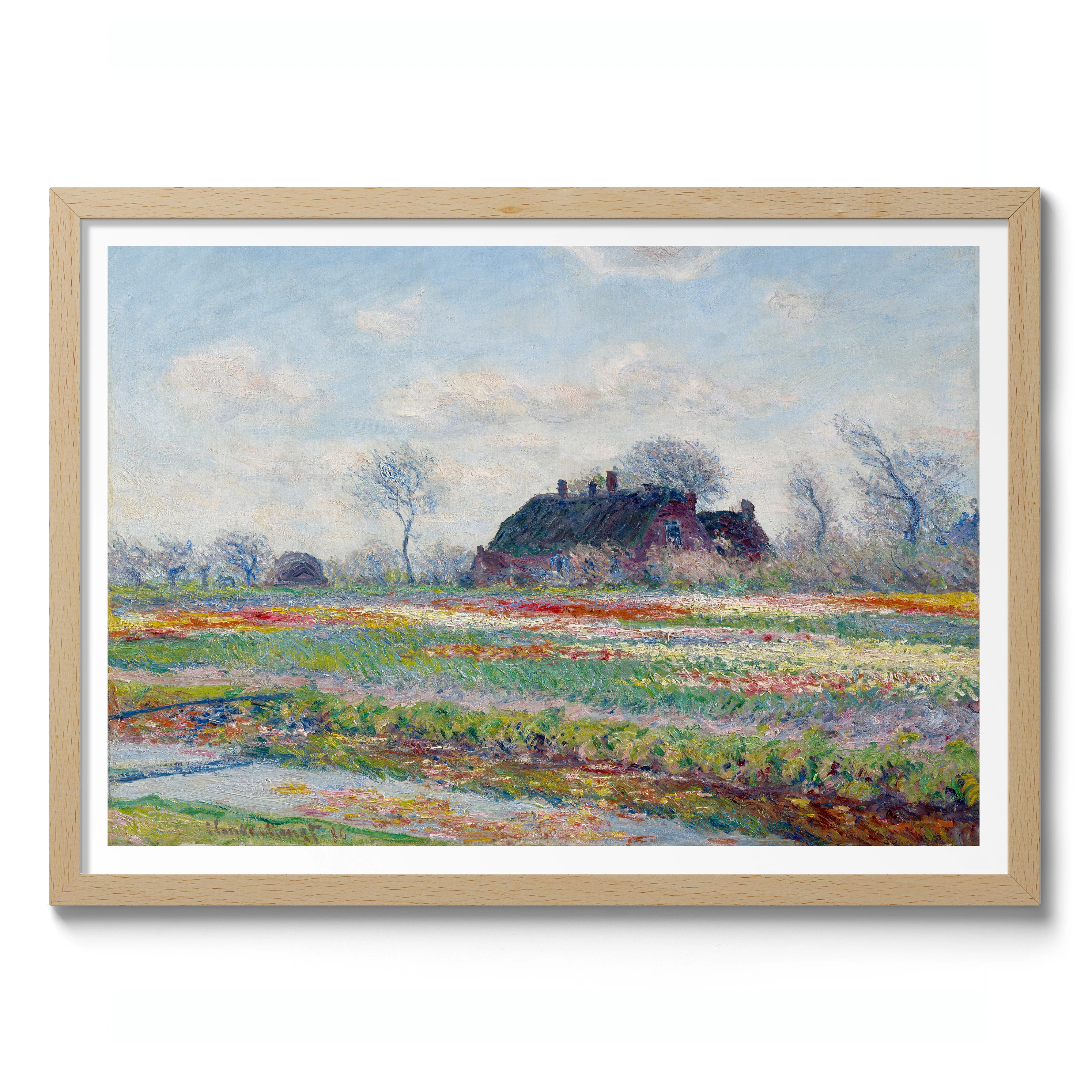Tulip Fields at Sassenheim - Image 3