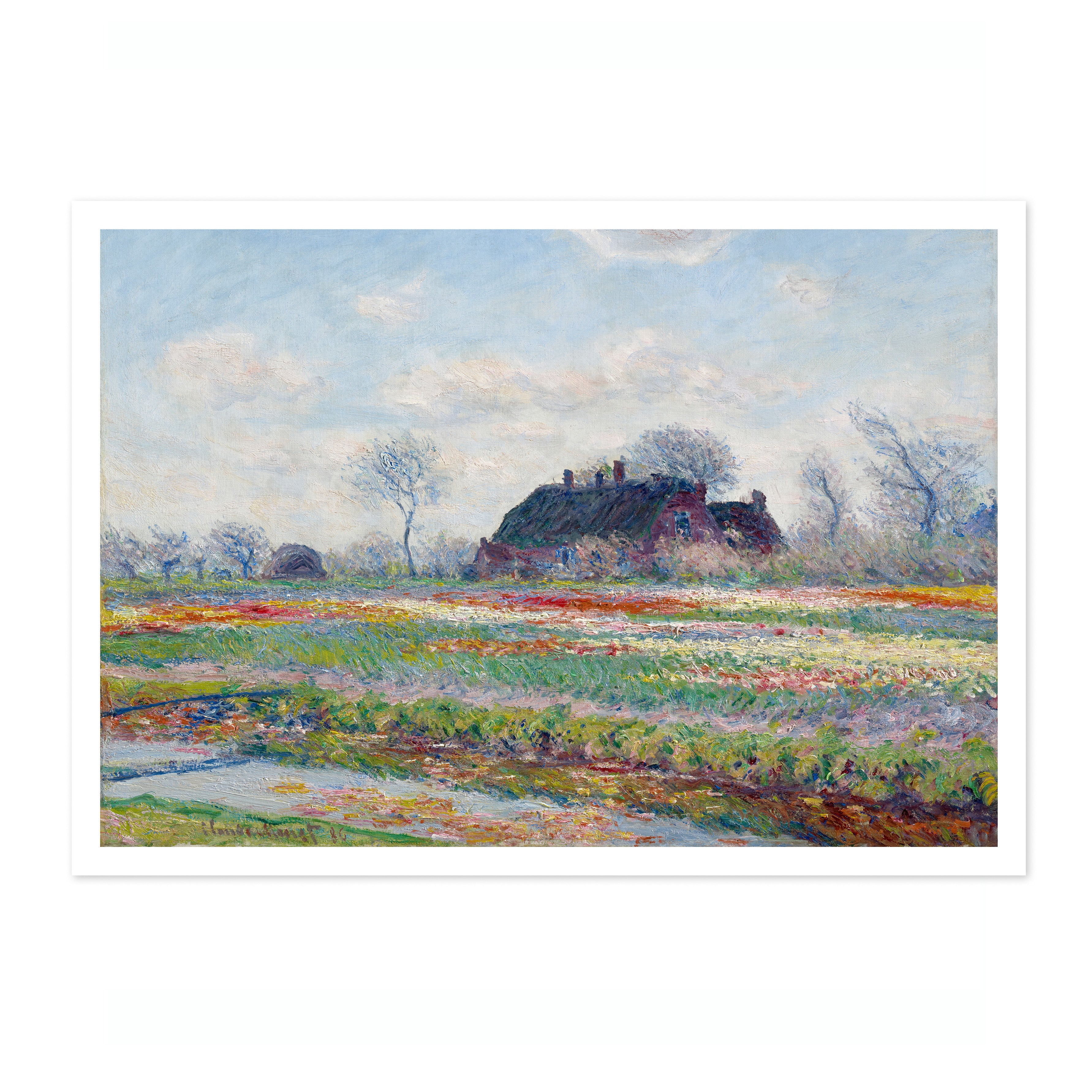 Tulip Fields at Sassenheim - Image 4