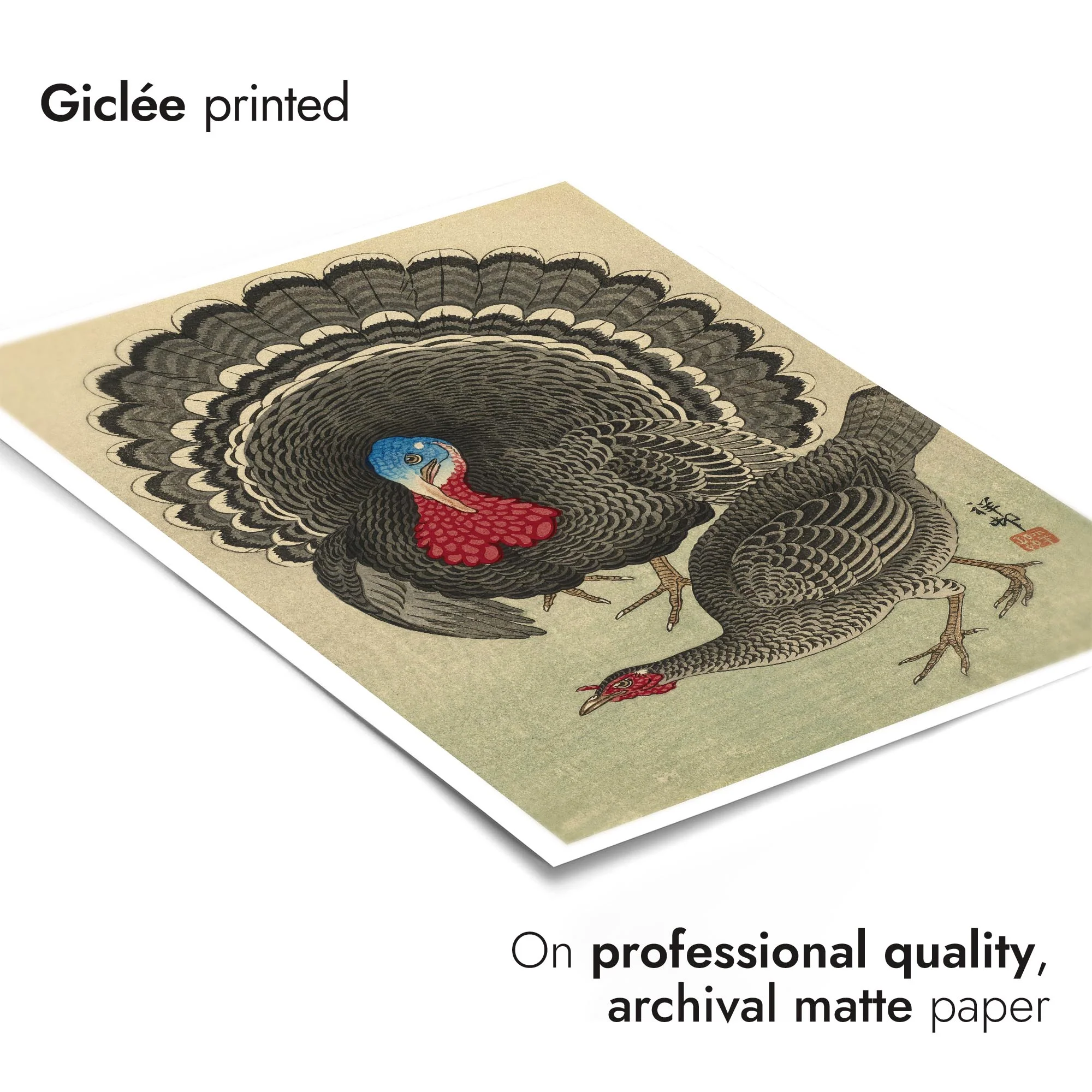 Turkey & Hen - Image 6