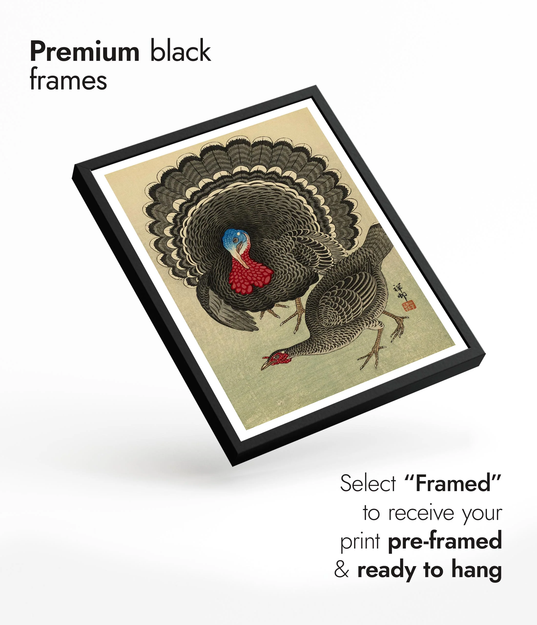 Turkey & Hen - Image 7