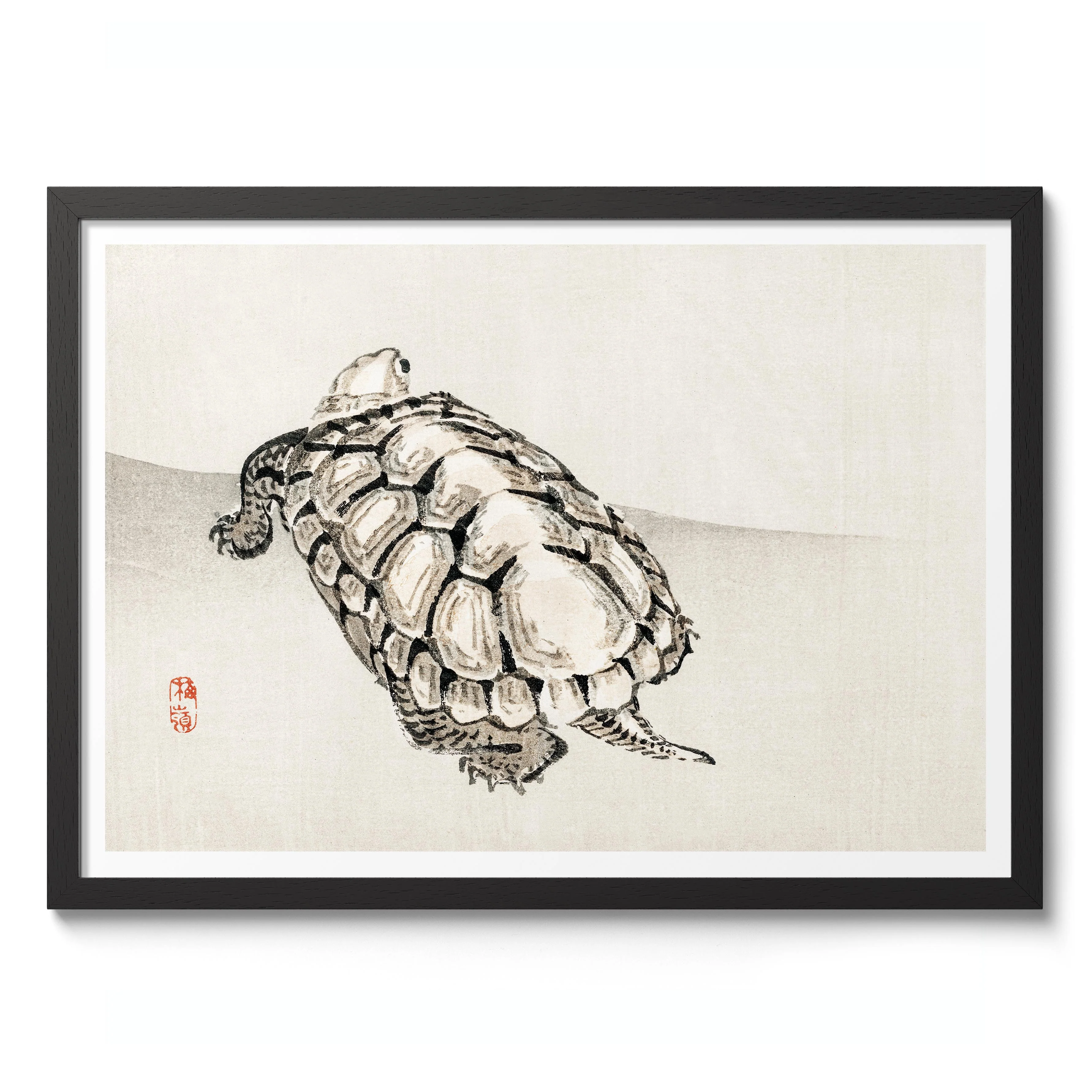 Turtle - Image 2