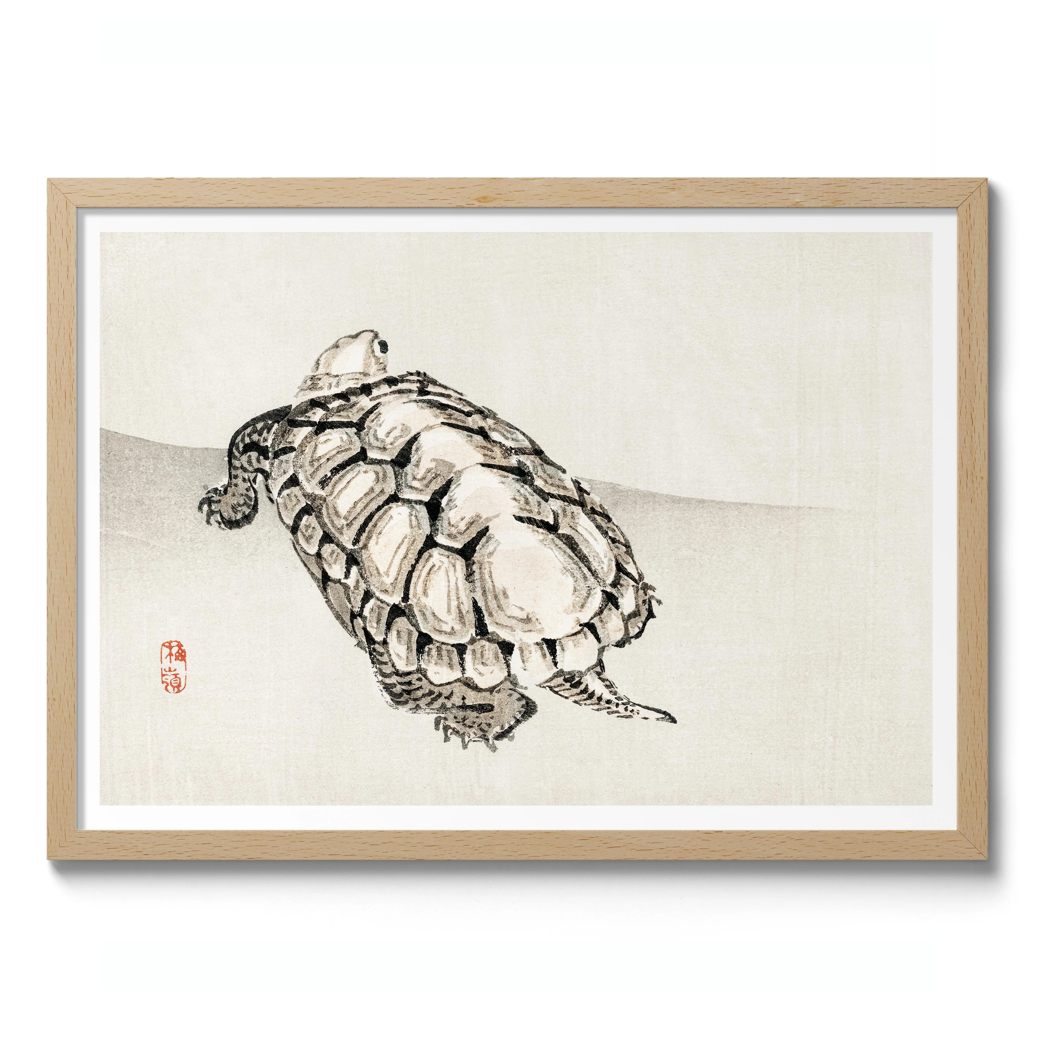 Turtle - Image 3