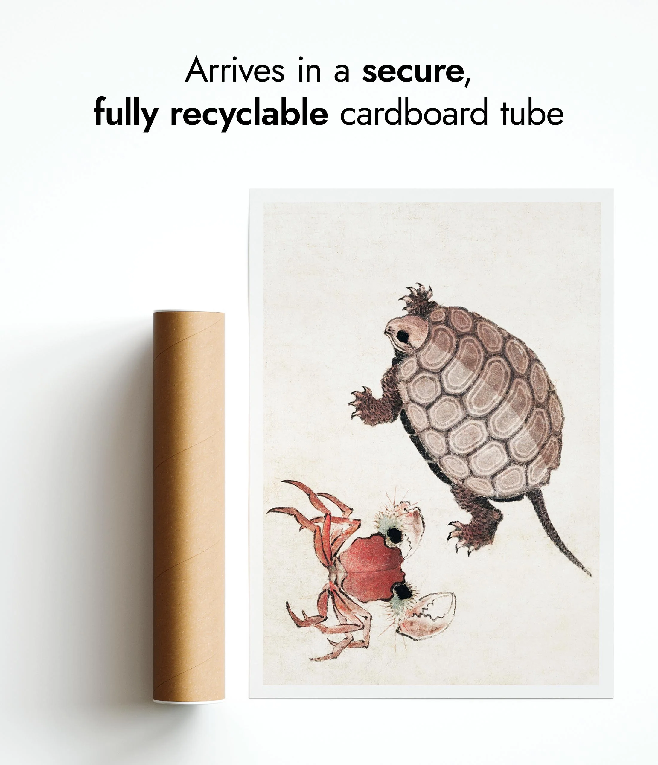 Turtle & Crab - Image 9