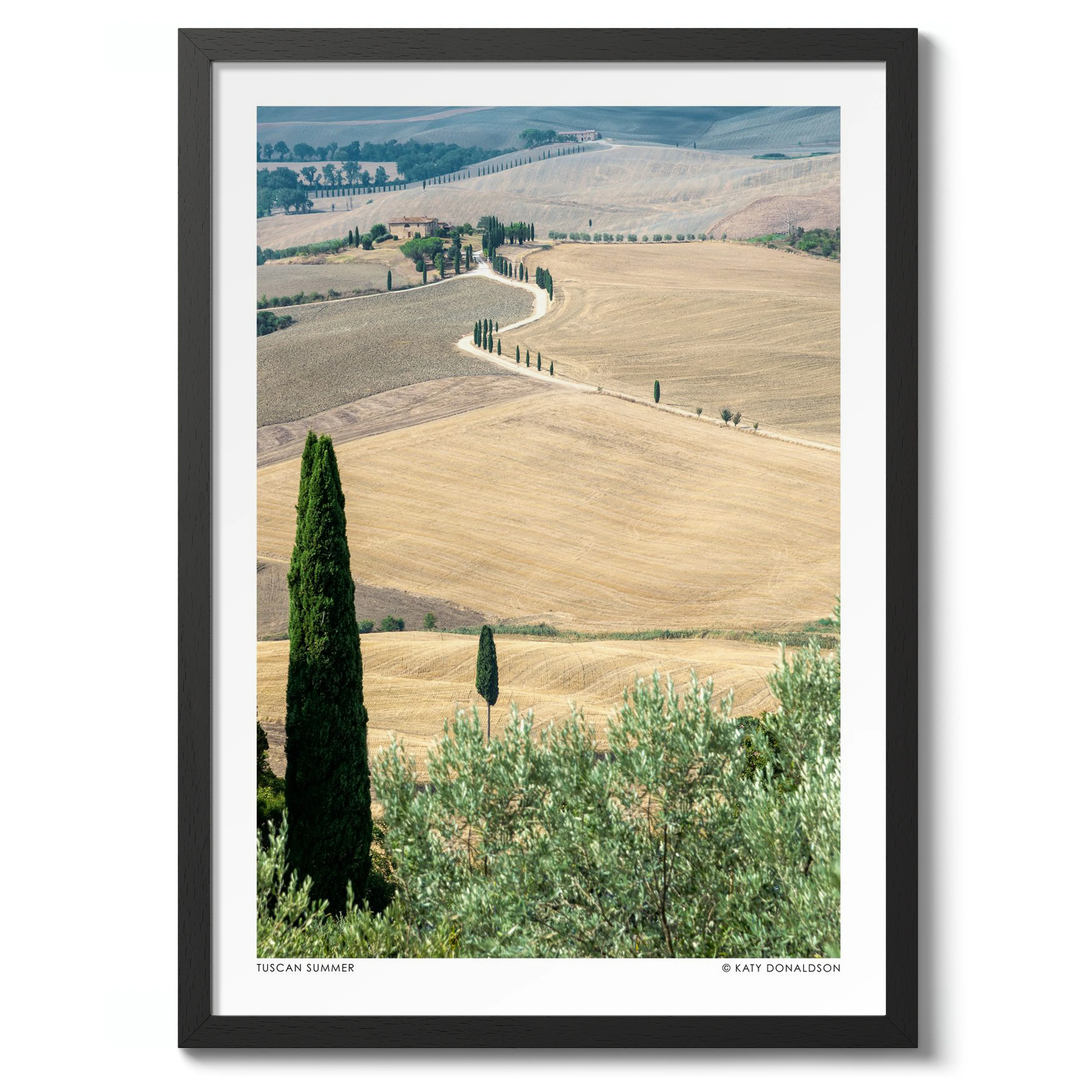 Tuscany Summer Portrait - Image 2