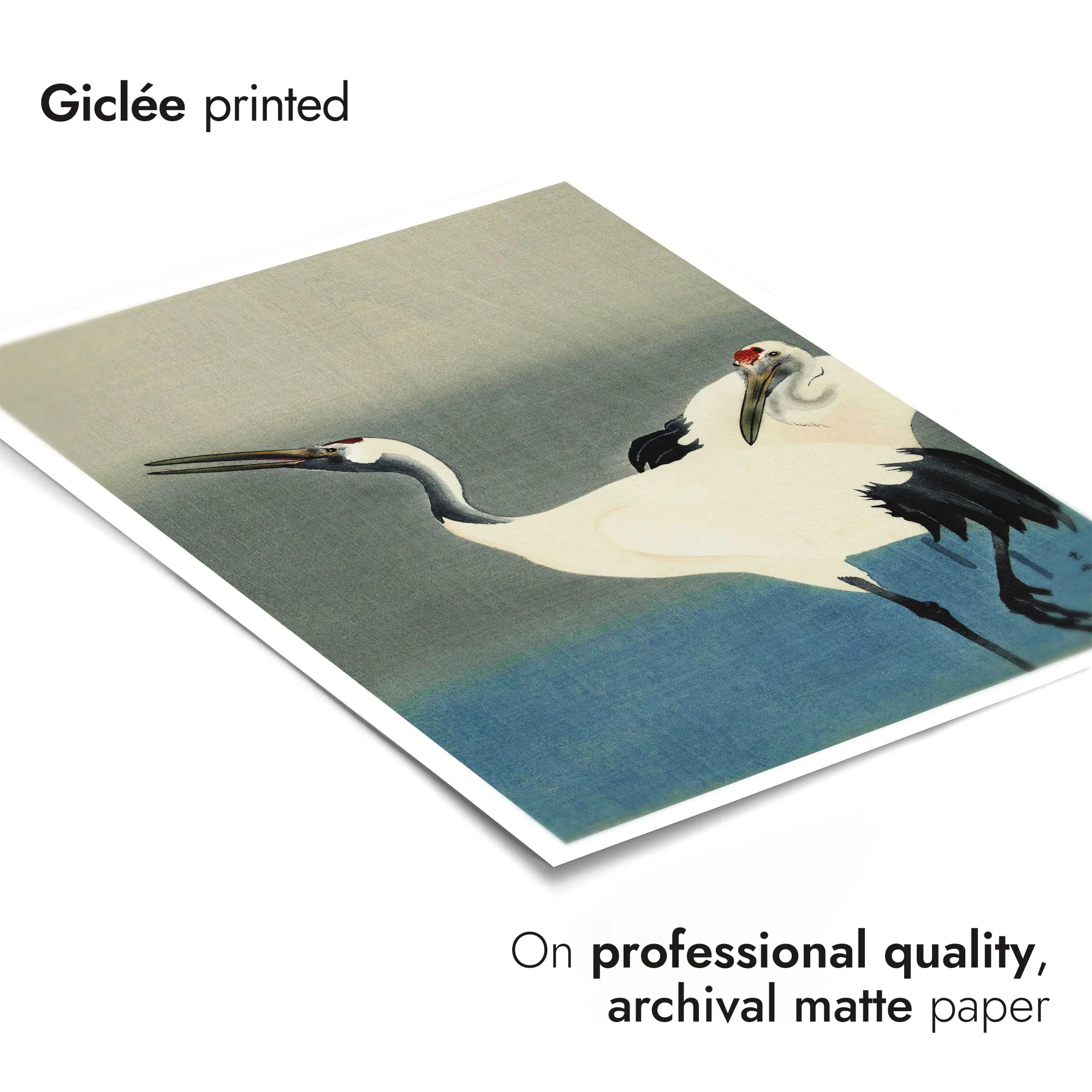 Two Cranes - Image 6