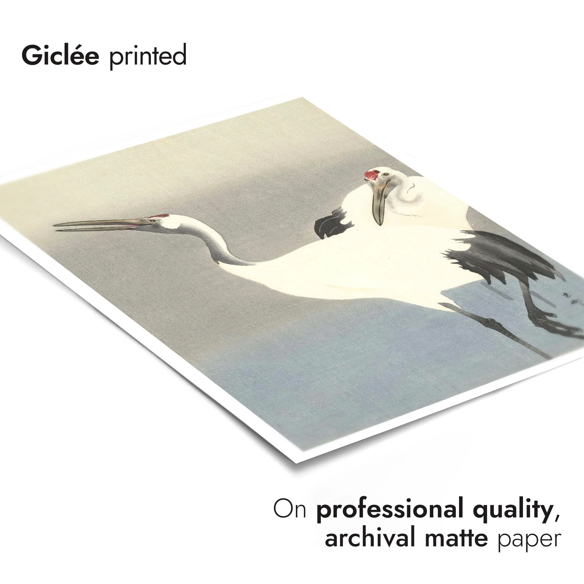 Two Cranes - Image 6