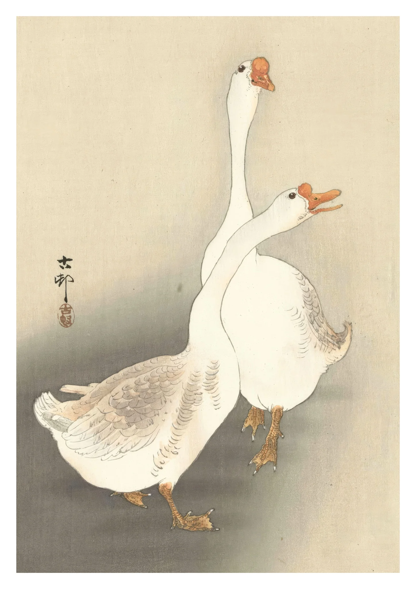 Two Geese