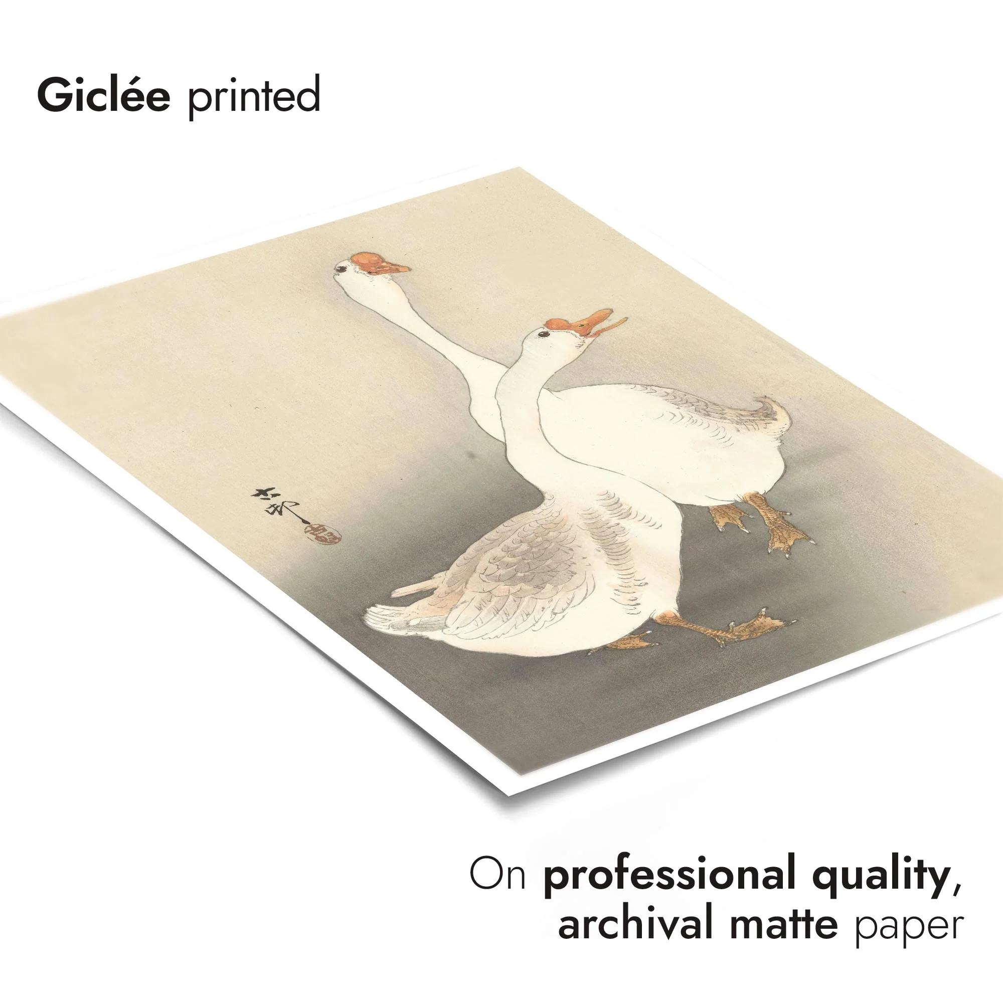 Two Geese - Image 6