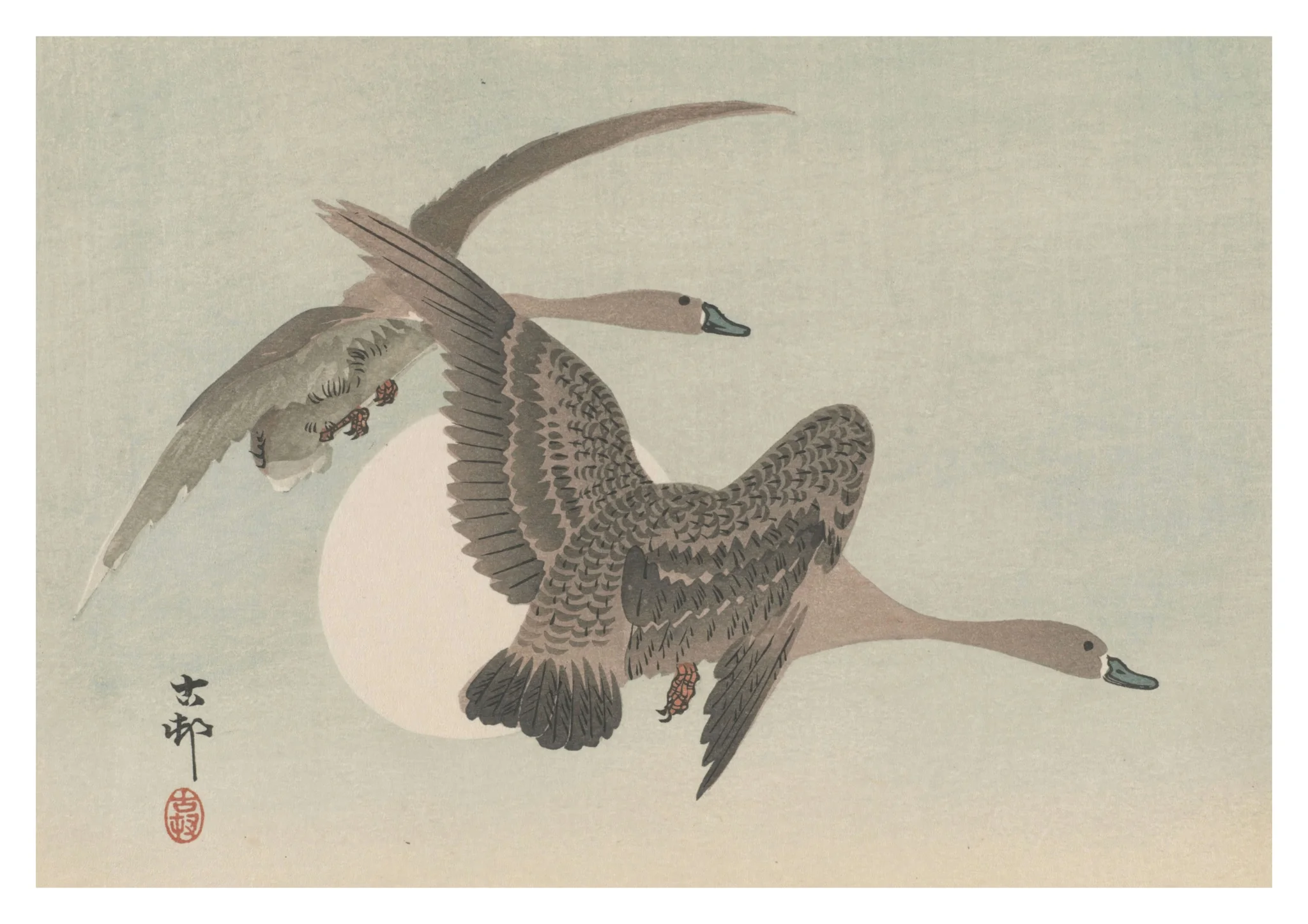 Two Geese in Flight & Full Moon