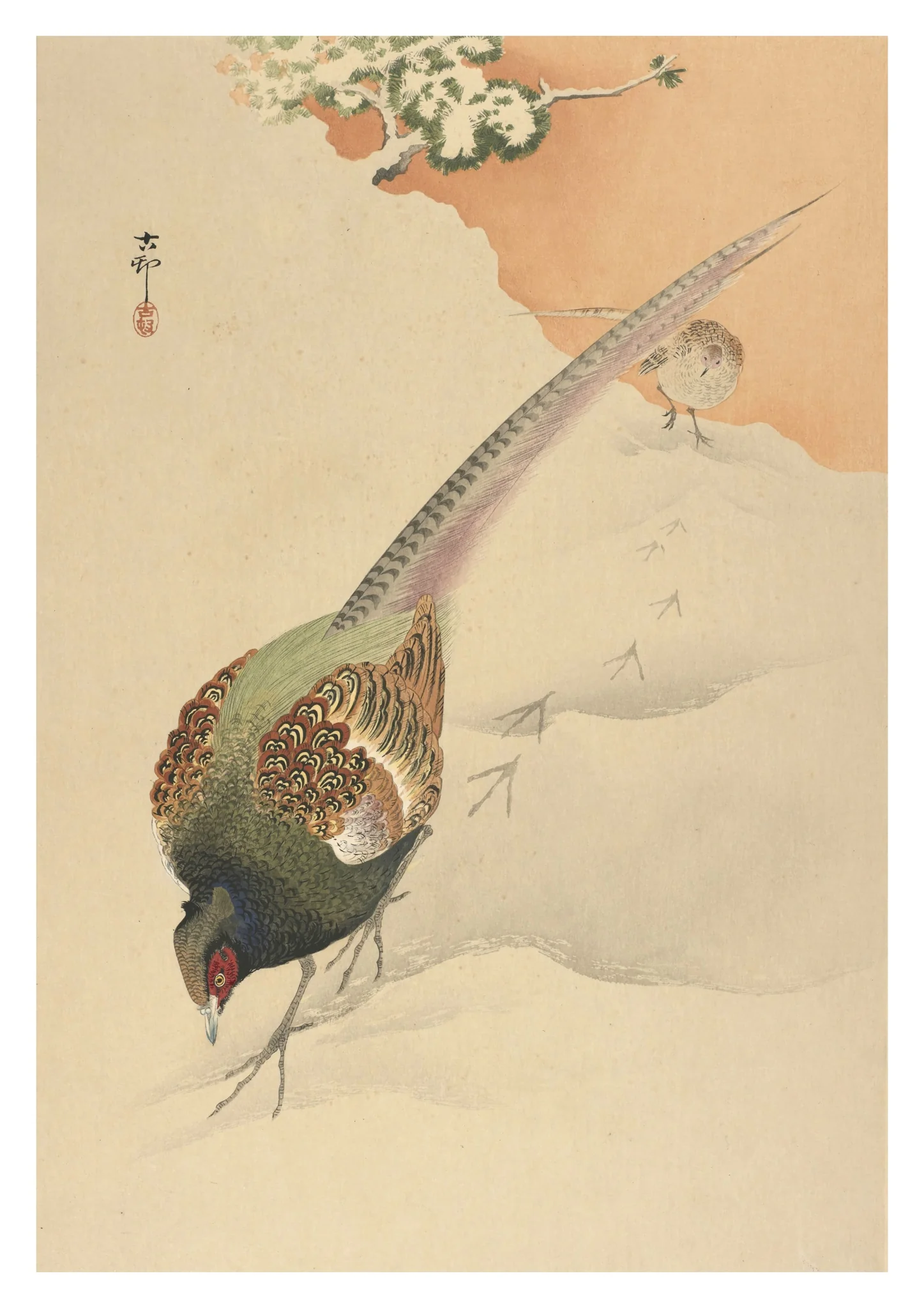 Two Pheasants in Snow