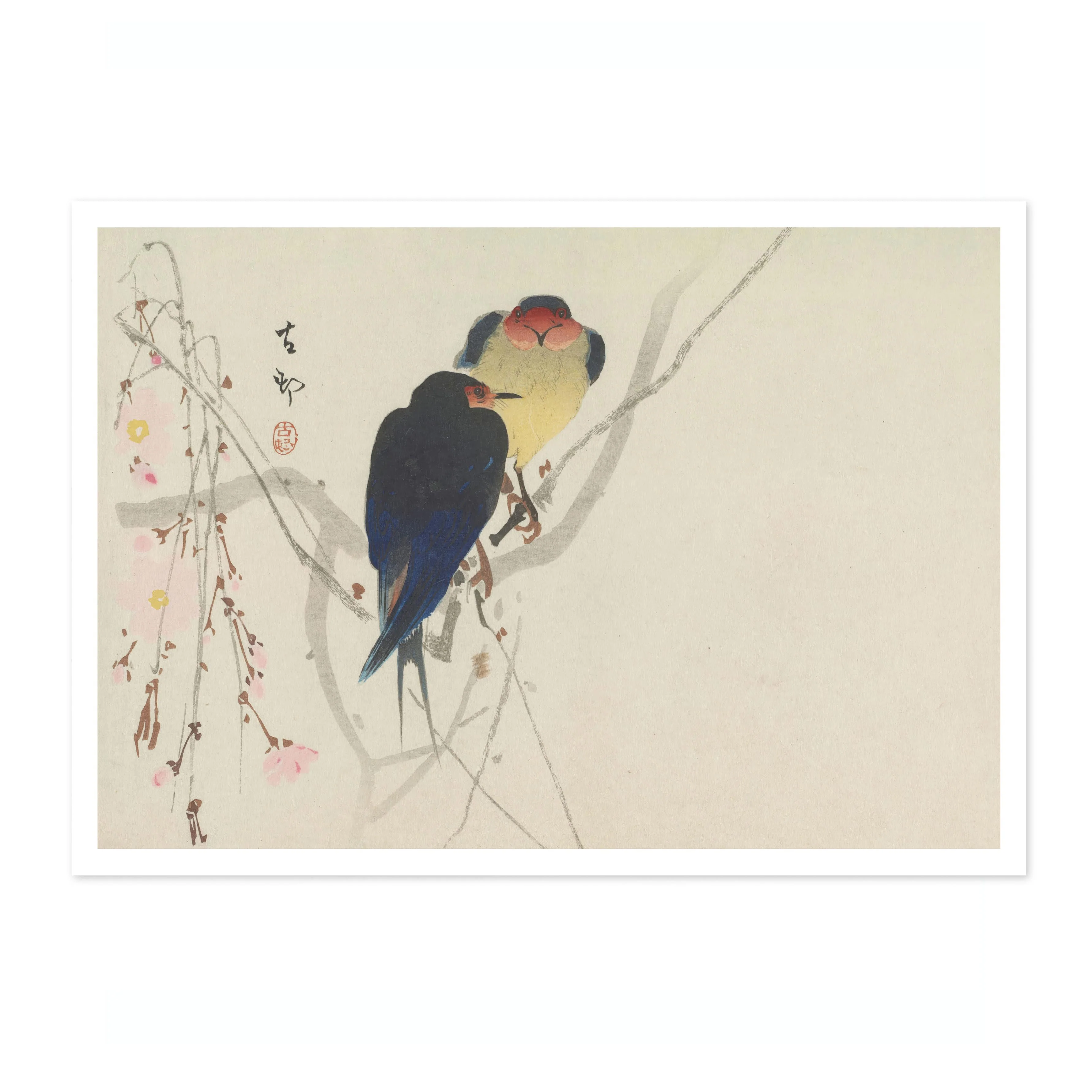 Two Swallows Perched on Weeping Cherry - Image 4