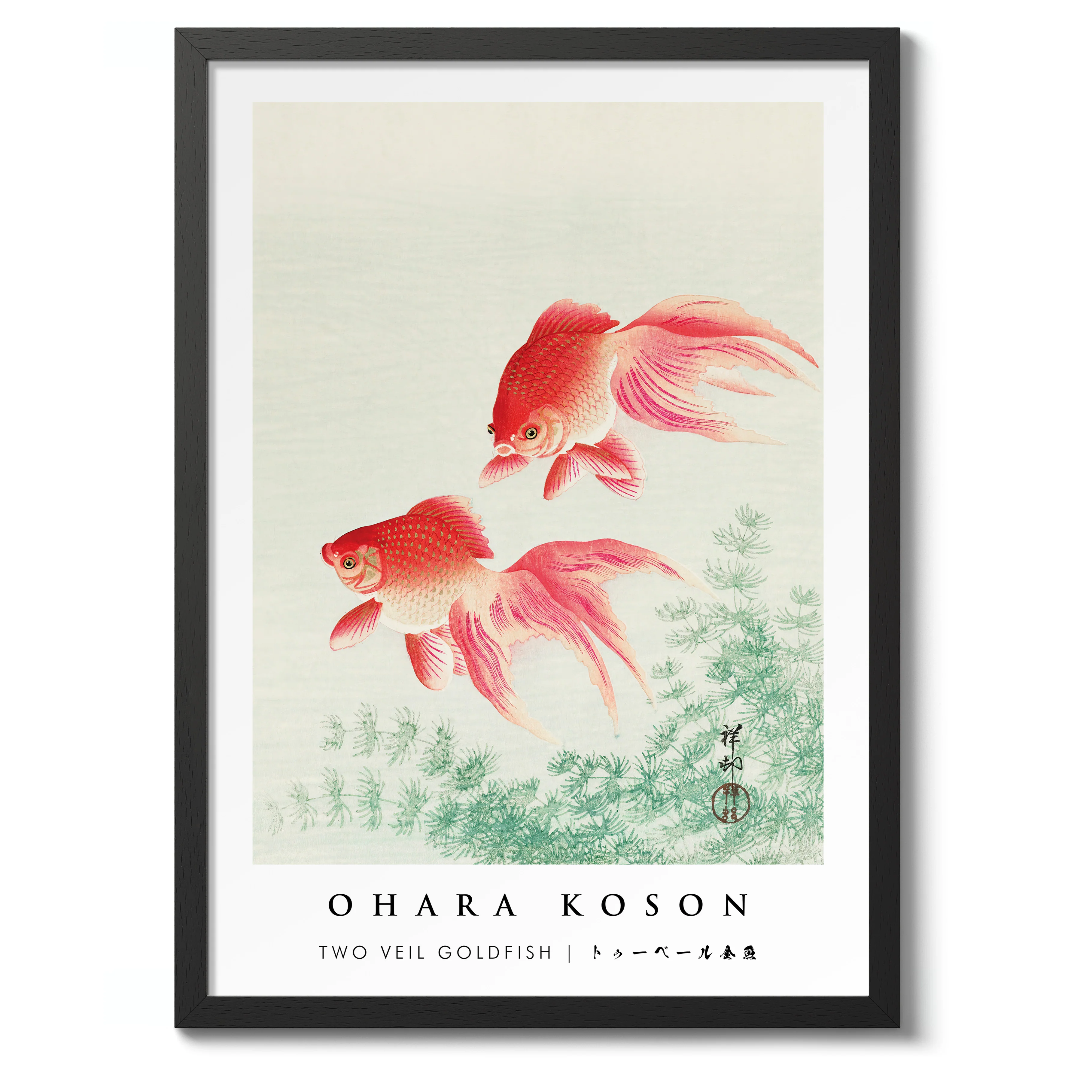 Two Veil Goldfish - Image 2