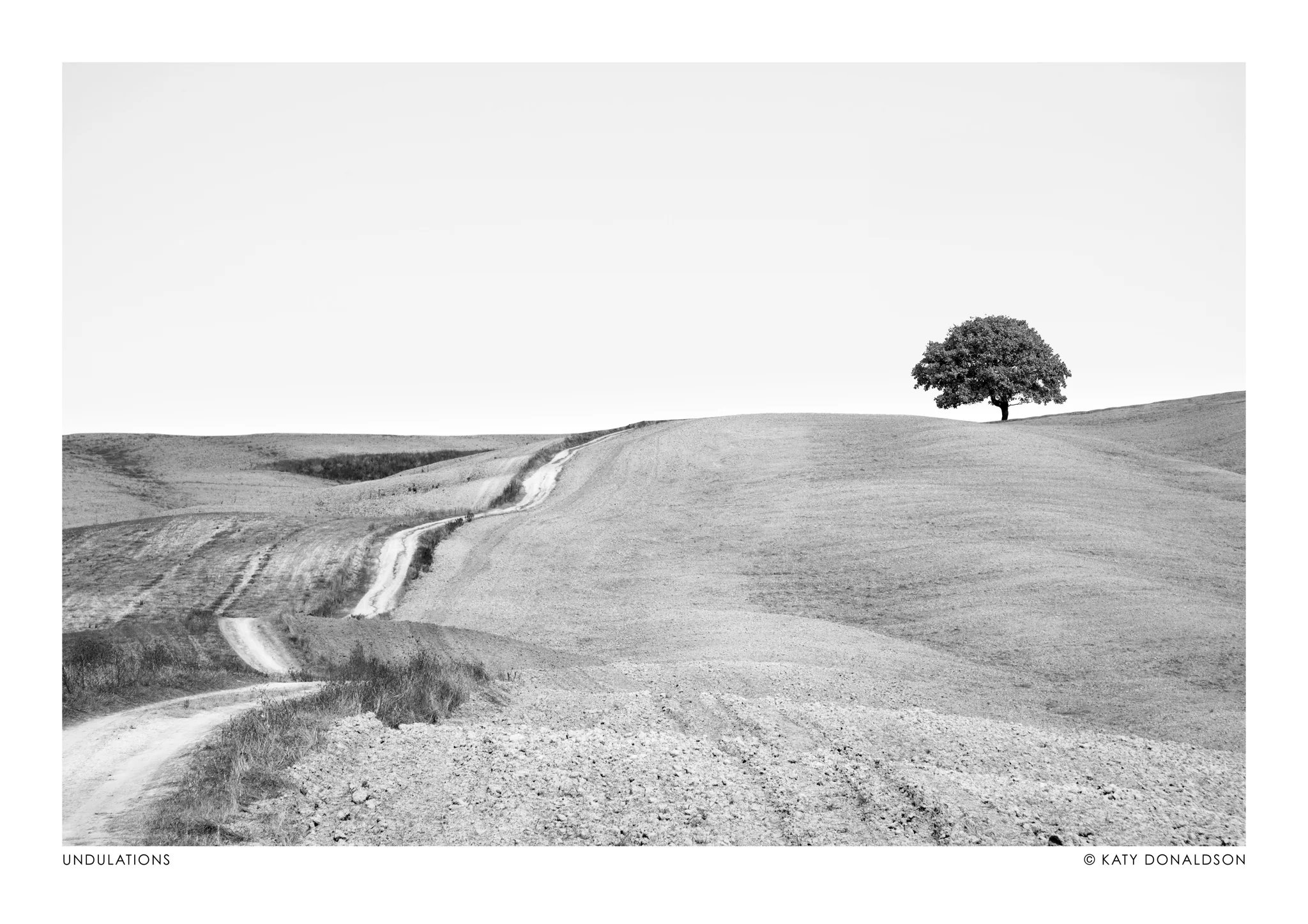 Undulations Landscape
