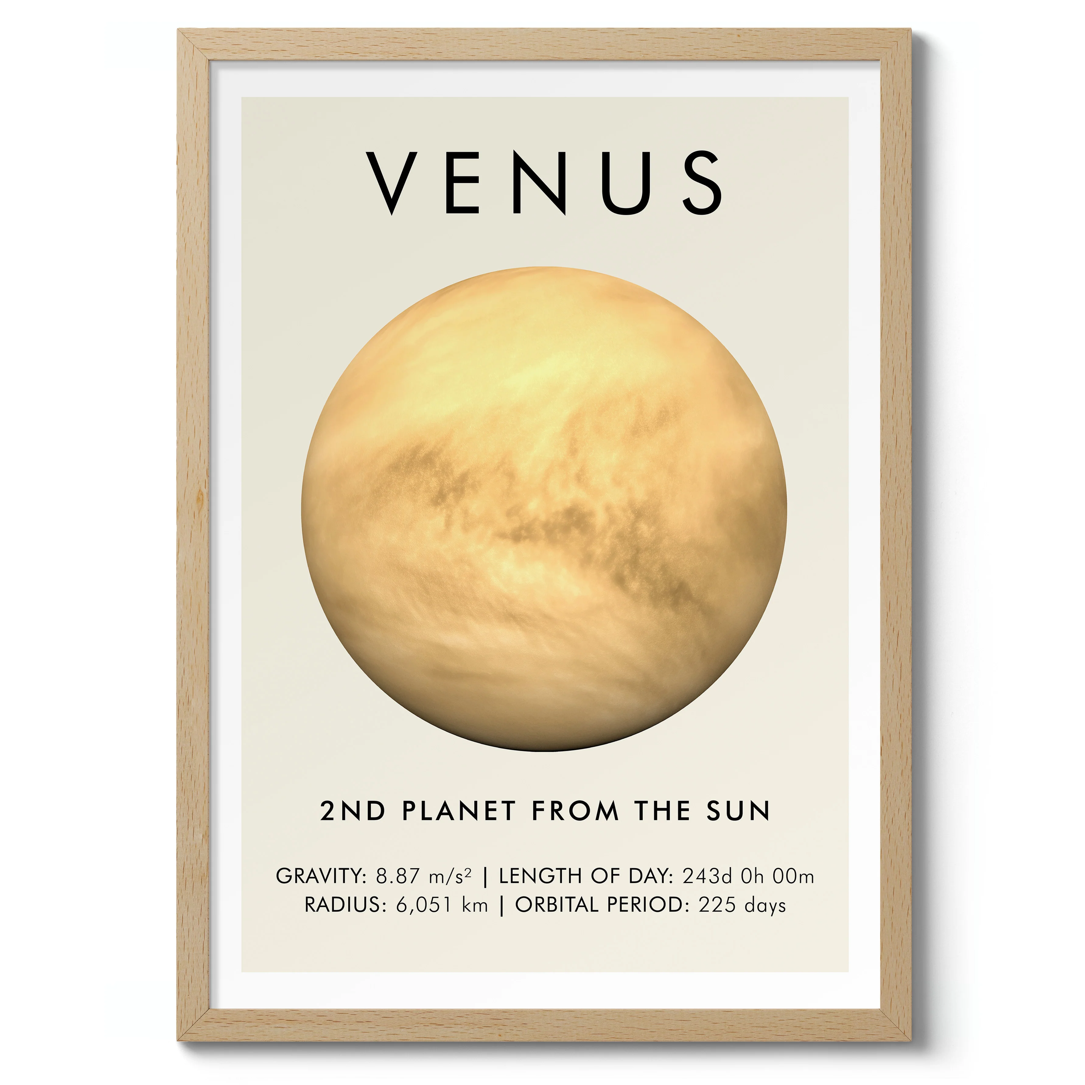 Venus - Image 3