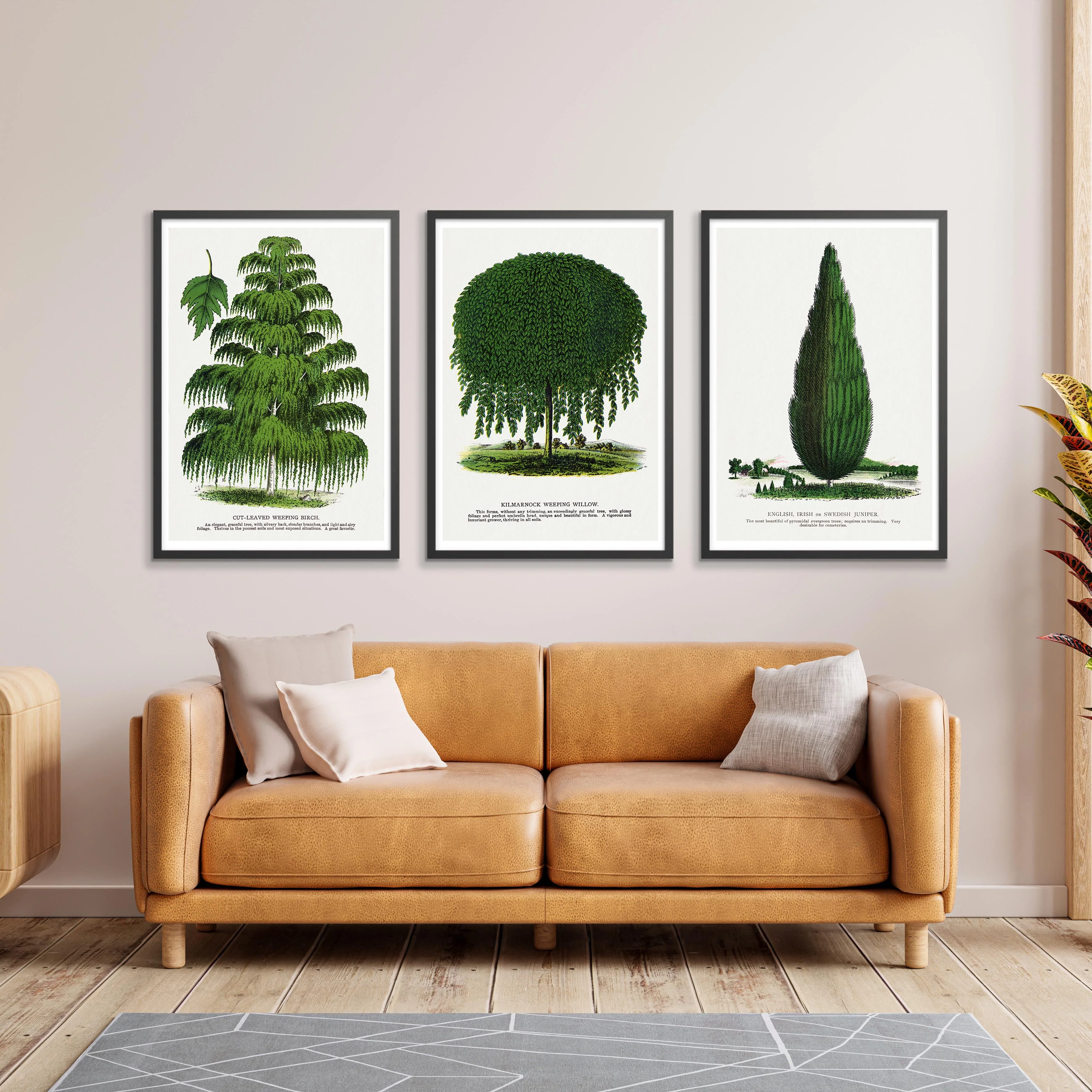 Vintage Trees - Image 4
