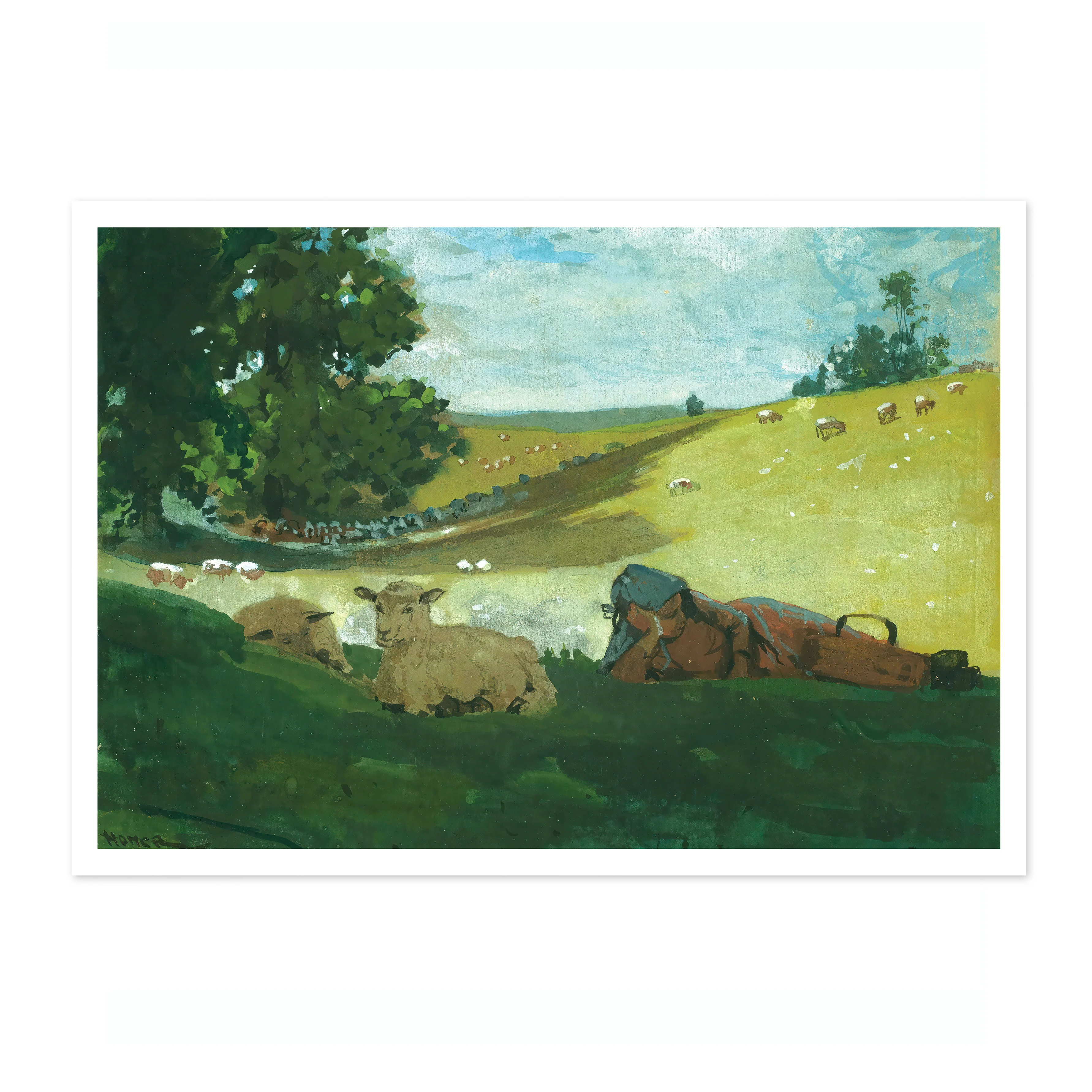 Warm Afternoon - Image 4