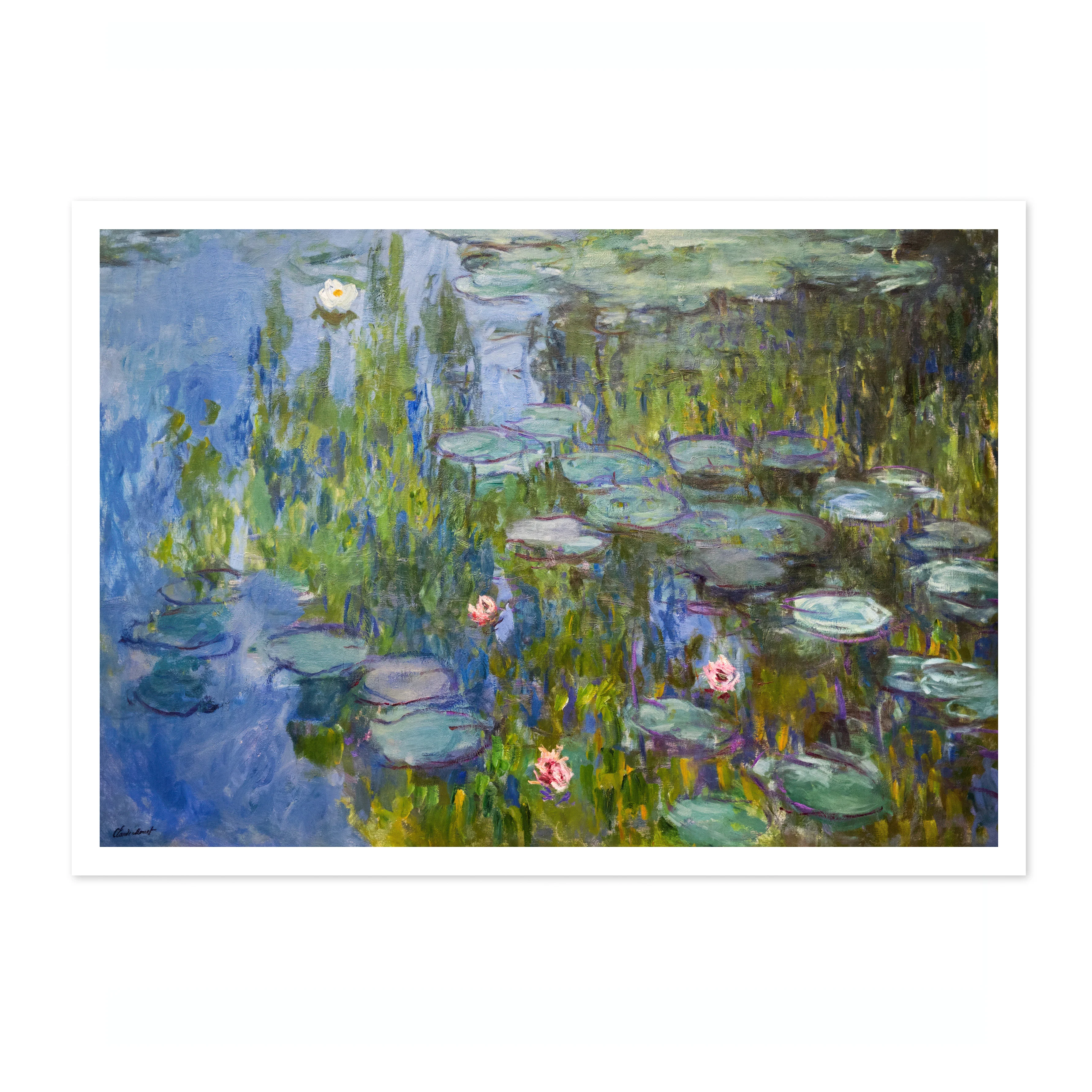 Water Lilies - Image 4