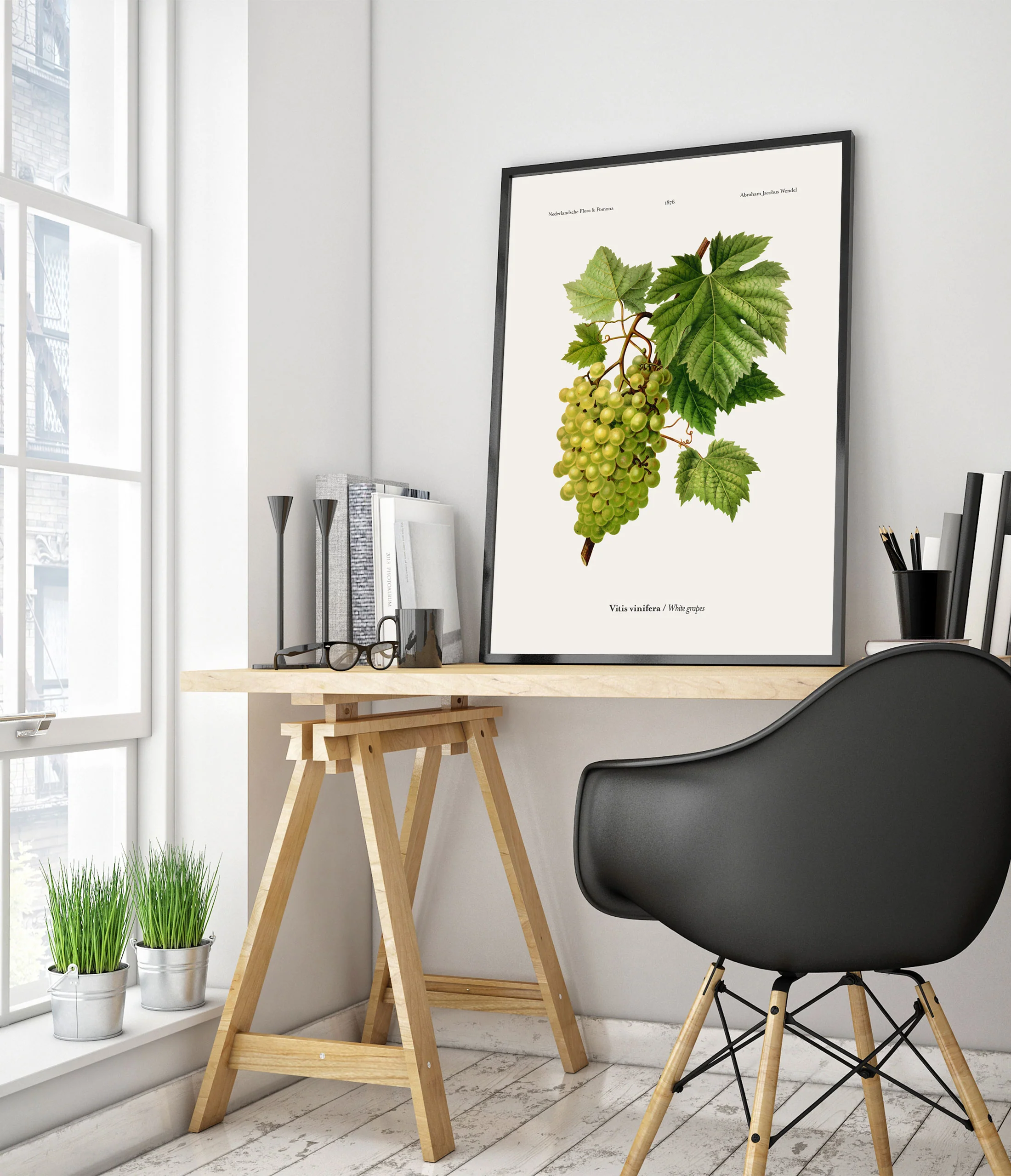 White Grapes - Image 5