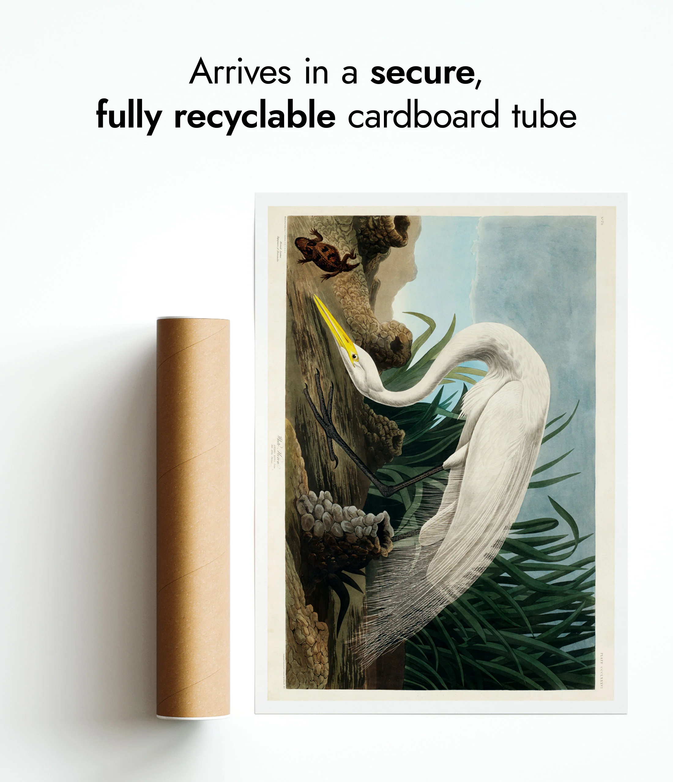 White Heron - Image 9