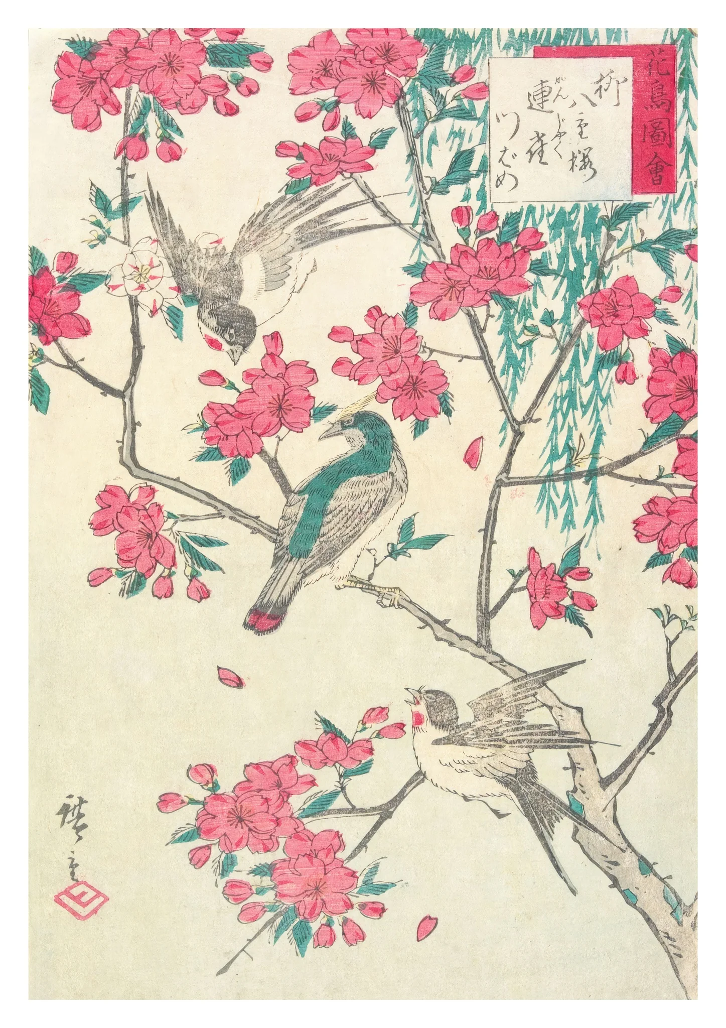 Willow, Cherry Blossoms, Sparrows & Swallow