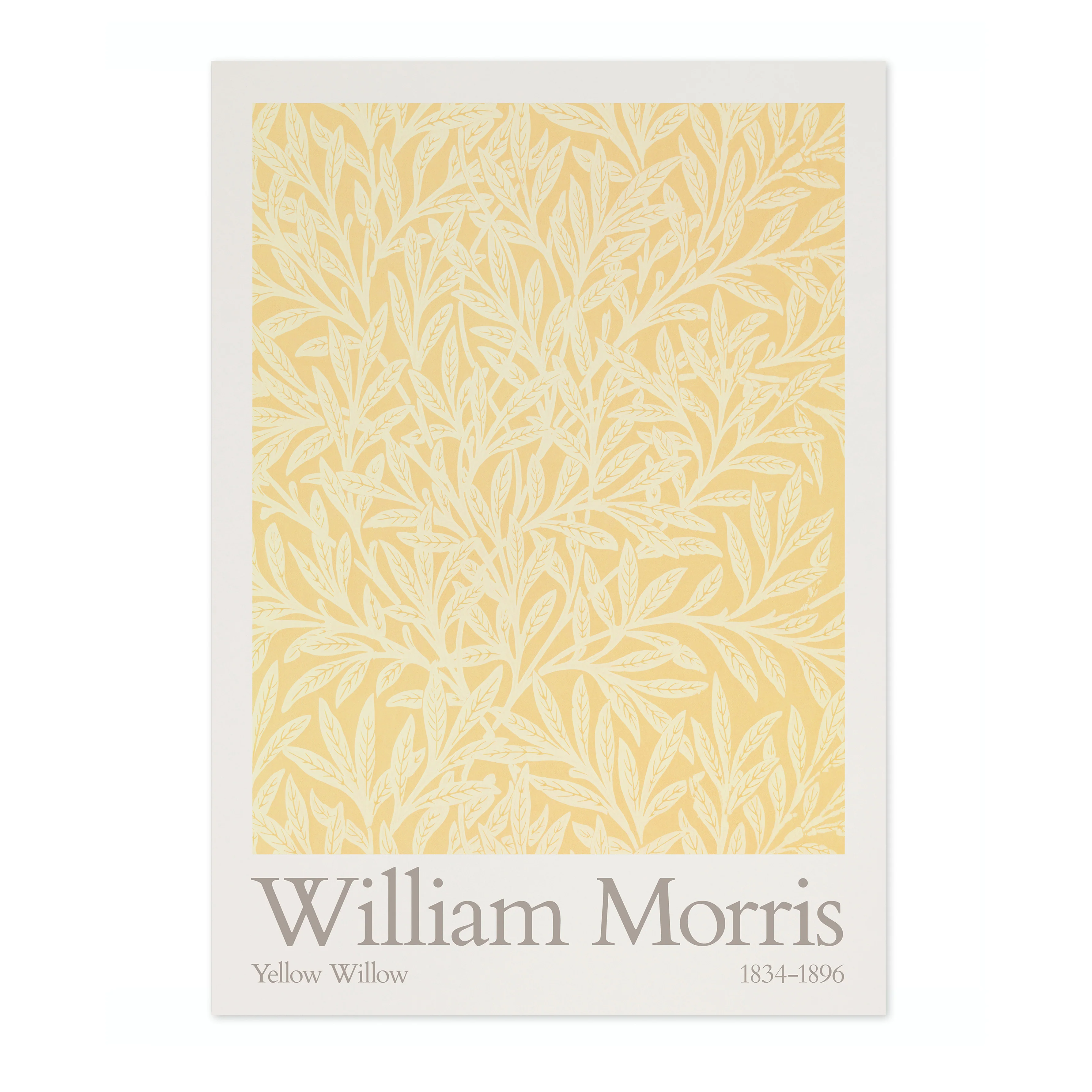 Yellow Willow - Image 4