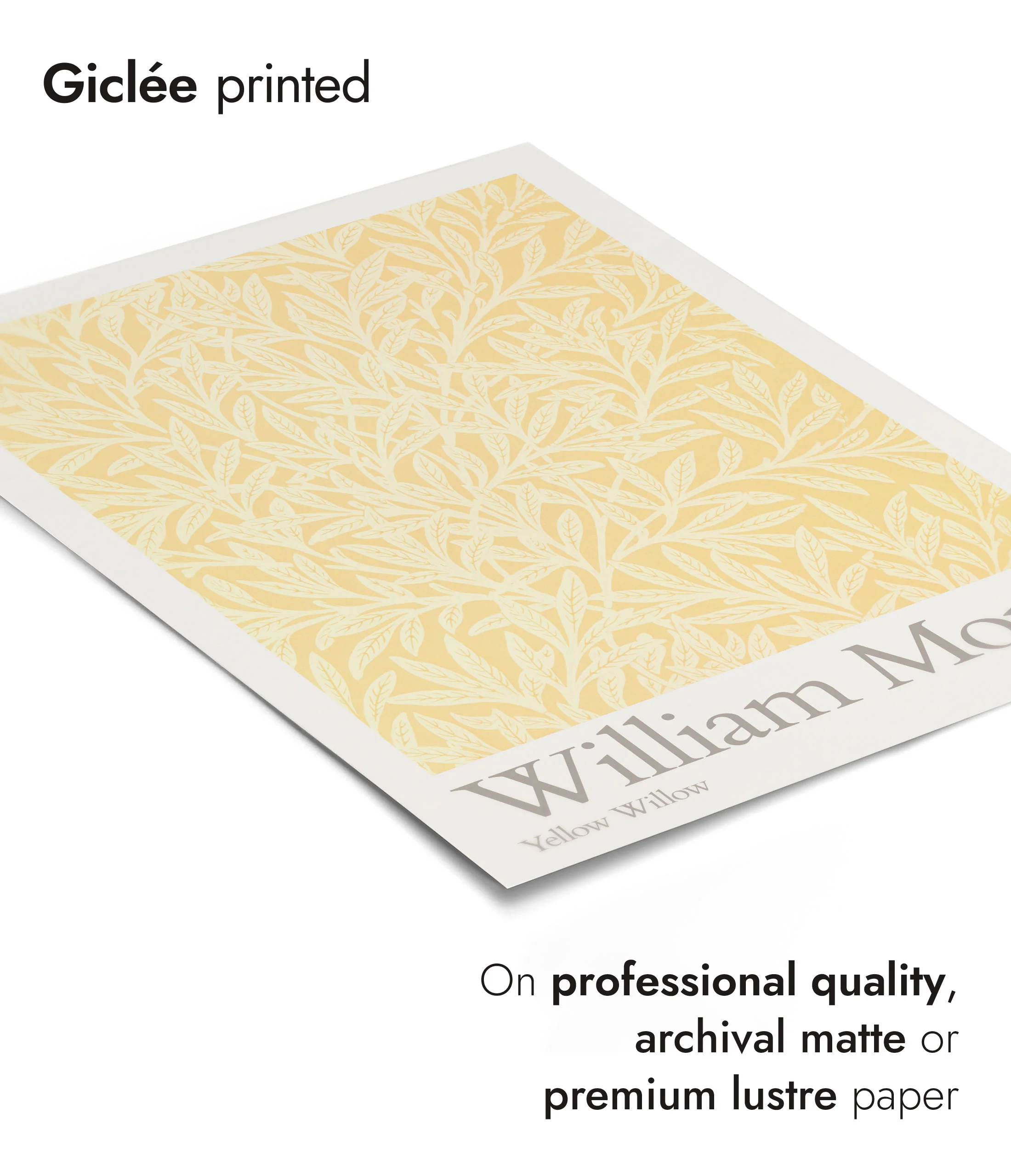 Yellow Willow - Image 6