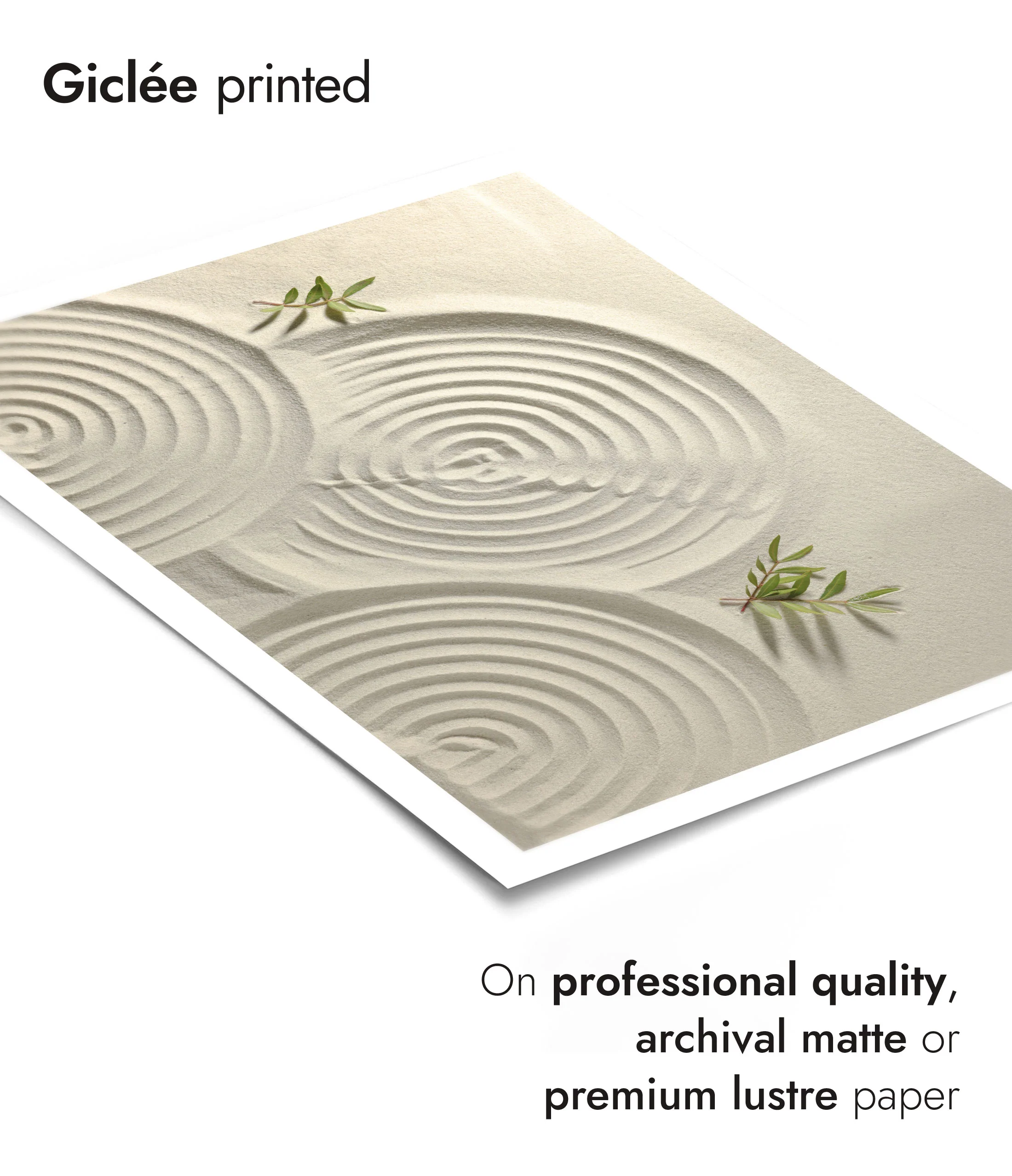 Zen Garden - Image 6