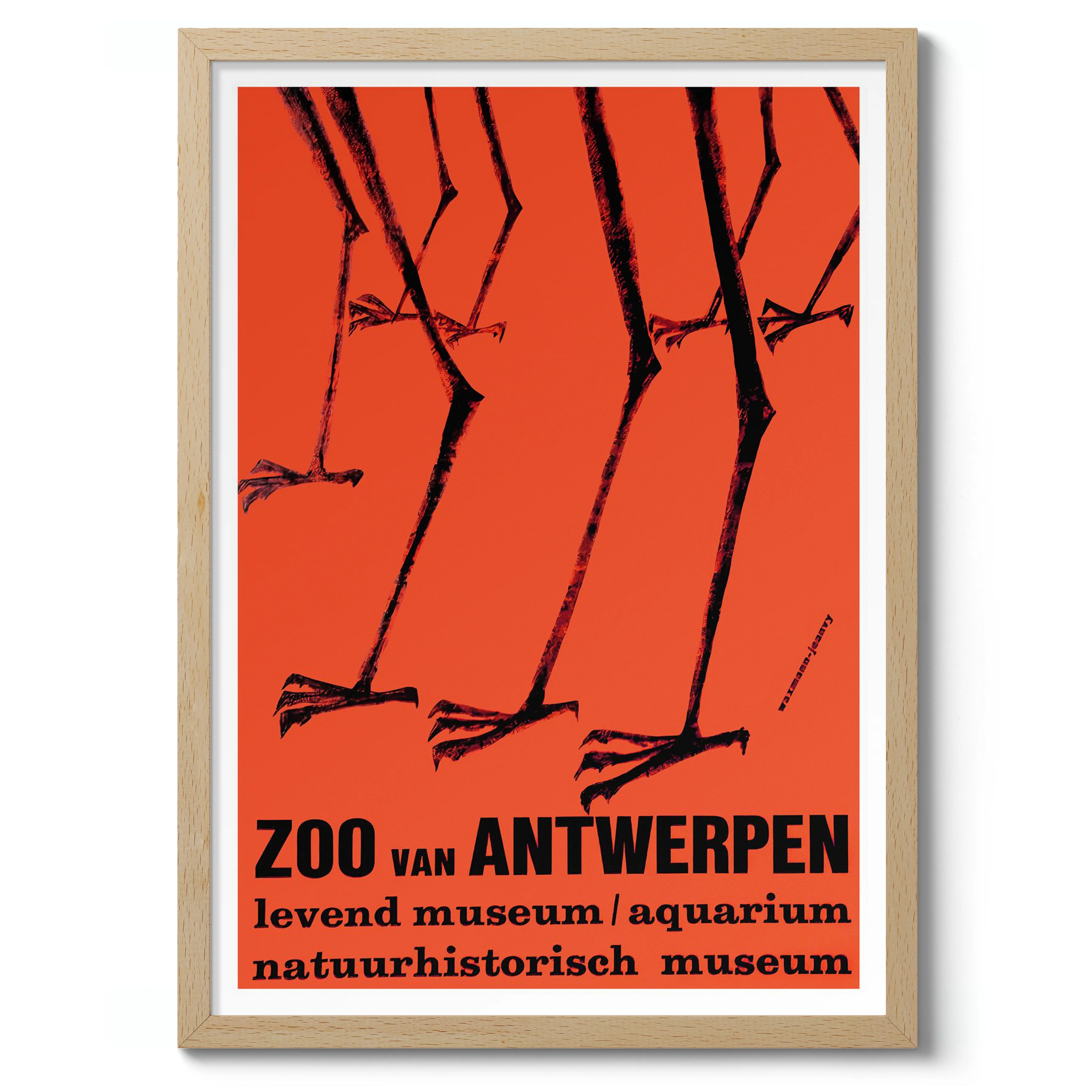 Zoo Antwerpen - Image 3