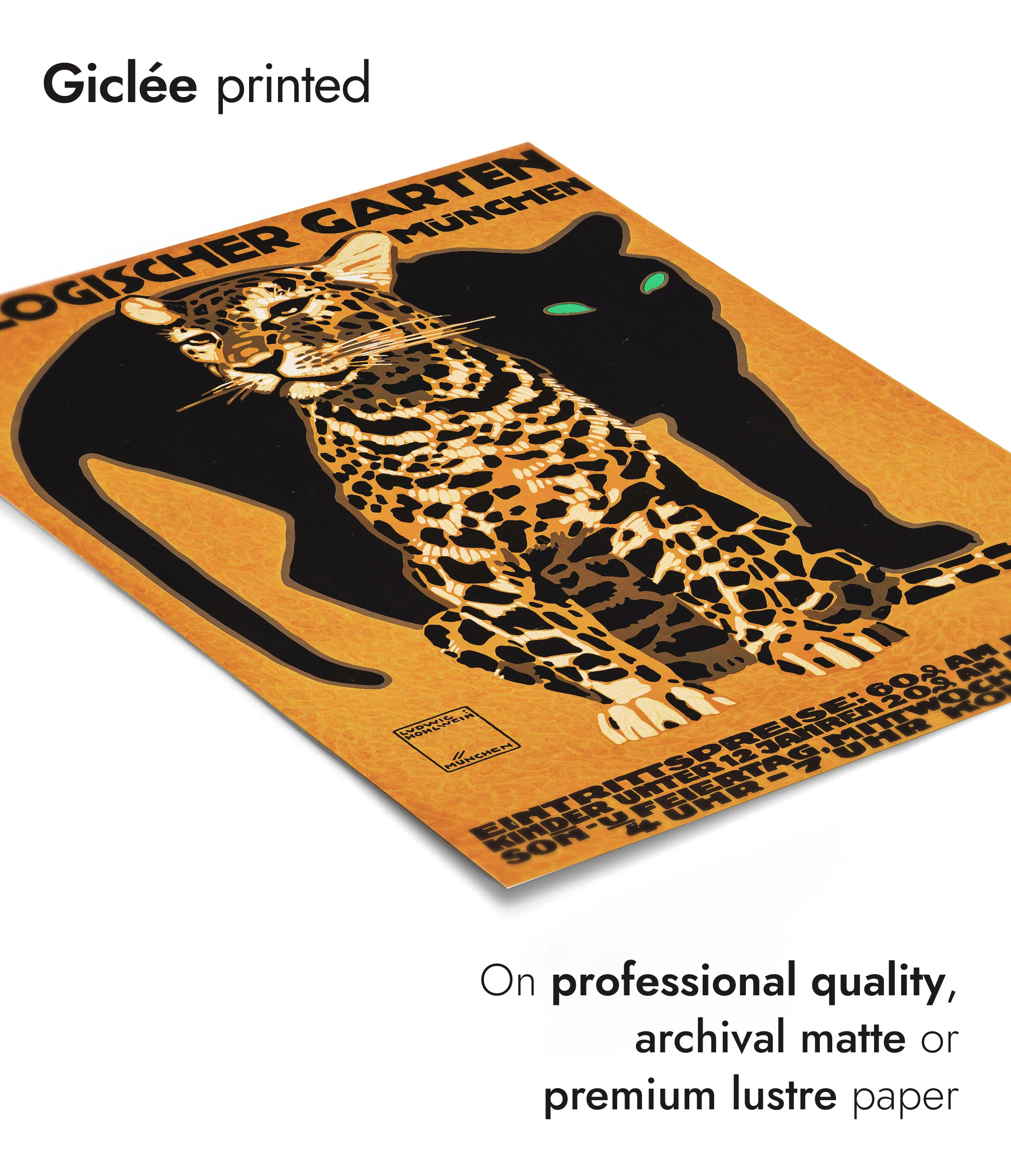 Zoo - Set of 3 - Image 11